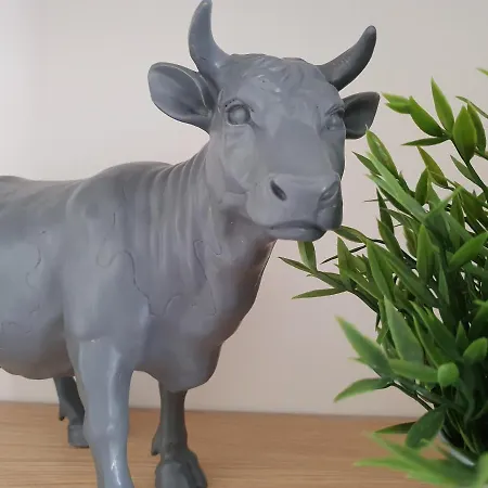 La Maison Des Familles 10 شقة لو مونت دوري