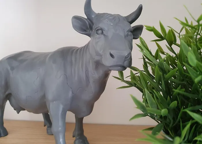 La Maison Des Familles 10 公寓 勒蒙多尔